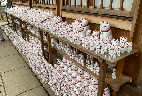 豪徳寺の写真・動画_image_745939