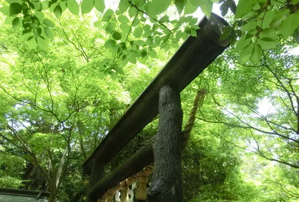 黒木鳥居