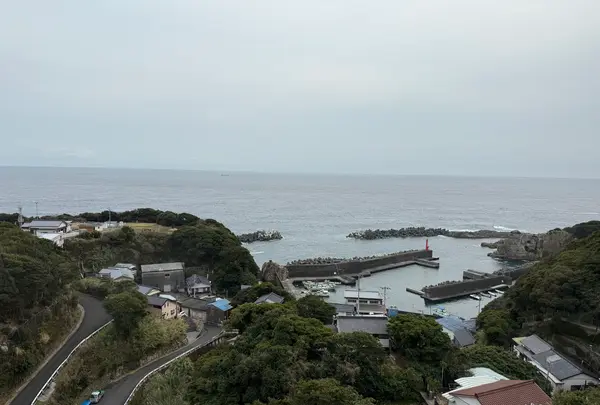 足摺国際ホテルの写真・動画_image_747096