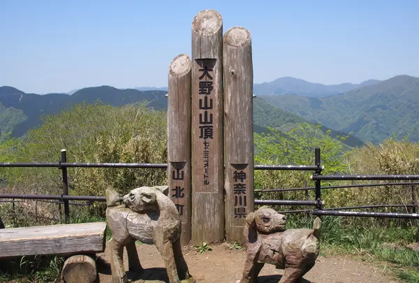 大野山の写真・動画_image_74716