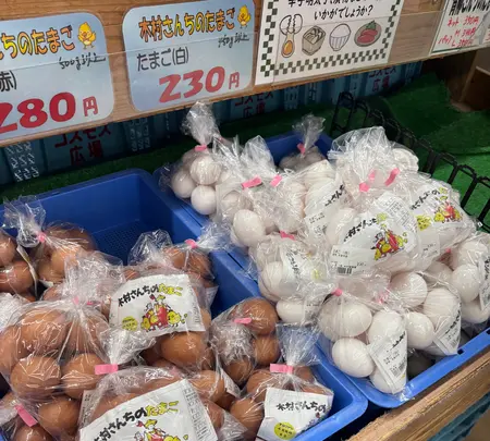古賀市コスモス館の写真・動画_image_748346