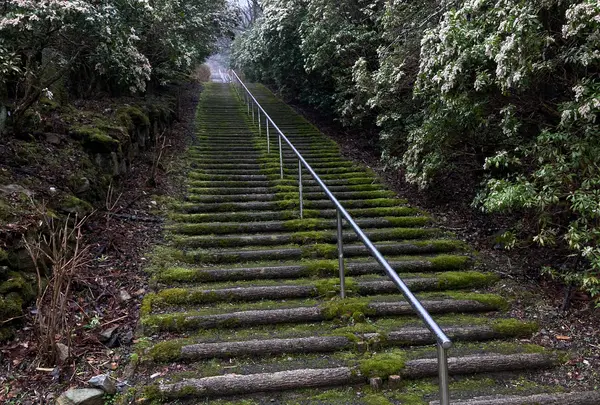旧別子銅山産業遺跡の写真・動画_image_751180