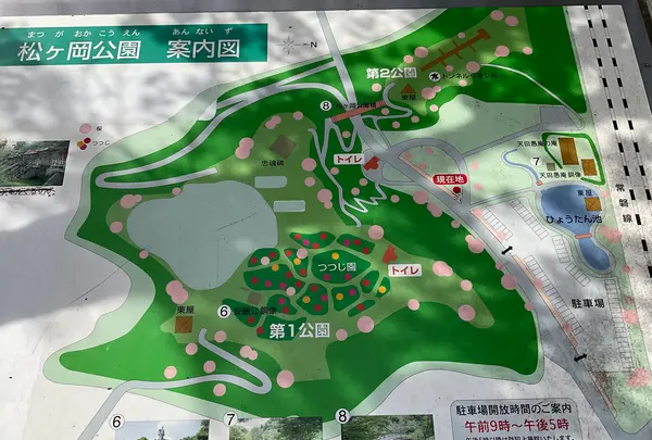 松ヶ岡公園の写真・動画_image_751733
