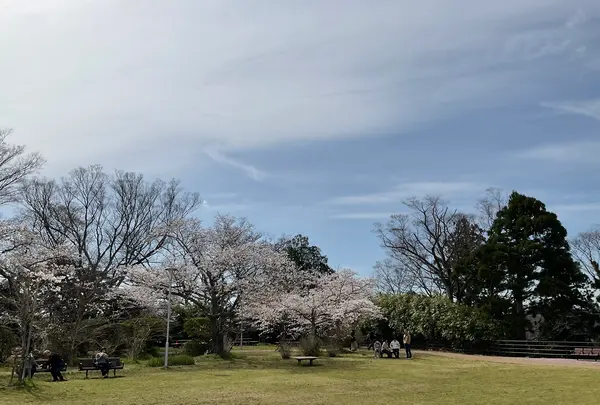 松ヶ岡公園の写真・動画_image_751734