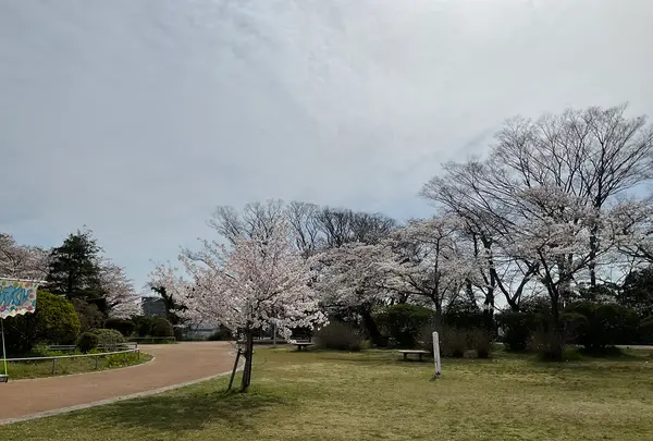 松ヶ岡公園の写真・動画_image_751737