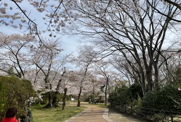 松ヶ岡公園の写真・動画_image_751741