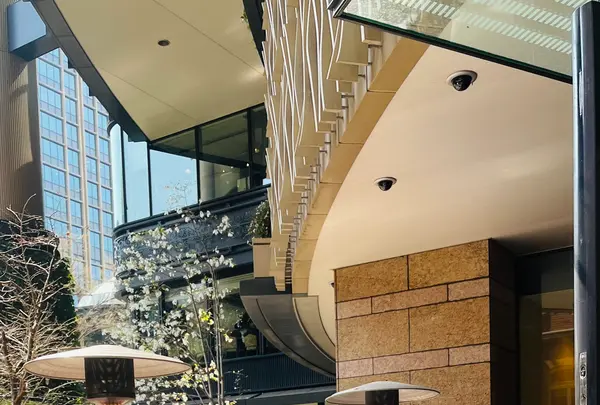 マルゴ丸の内の写真・動画_image_752877