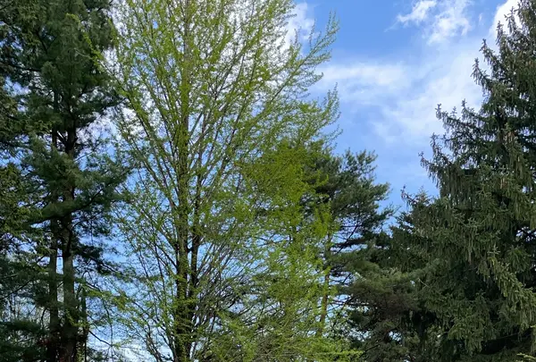 岩手大学農学部 農業教育資料館の写真・動画_image_756944