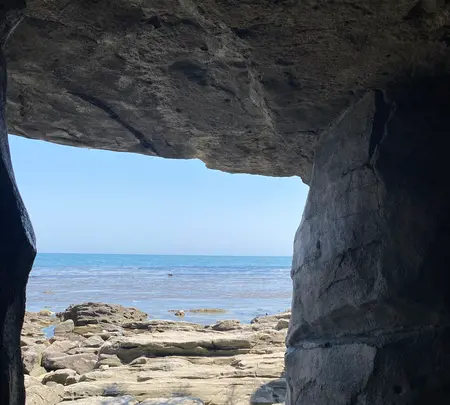 道の駅 雨晴の写真・動画_image_757399
