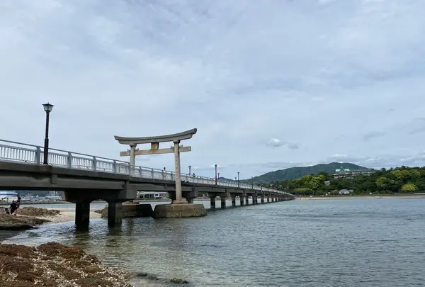 竹島の写真・動画_image_758295
