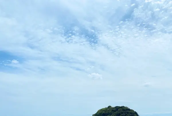 竹島の写真・動画_image_758296