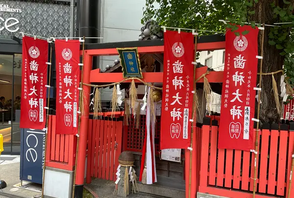 歯神社の写真・動画_image_761546