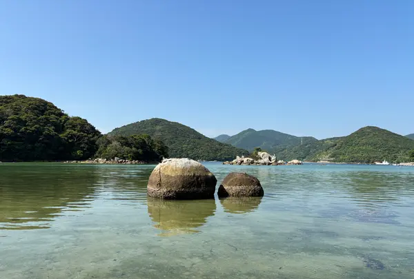 カトリック堂崎天主堂の写真・動画_image_763086