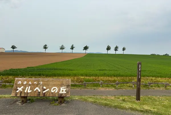 メルヘンの丘の写真・動画_image_763936