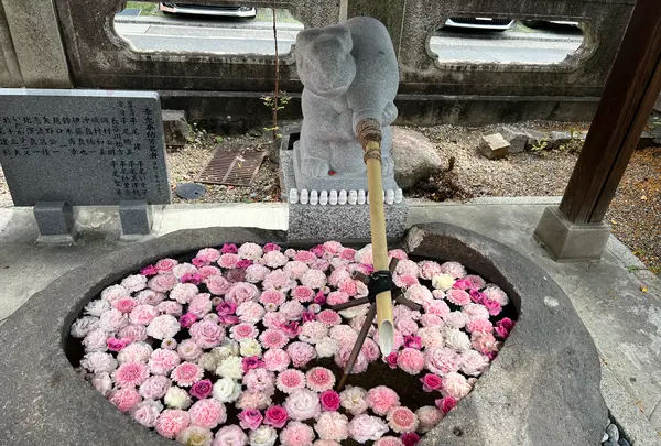 三輪神社の写真・動画_image_763944
