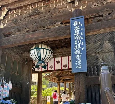 長谷寺の写真・動画_image_764605