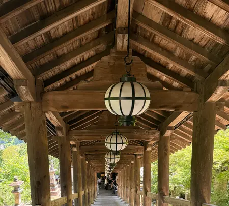 長谷寺の写真・動画_image_764665
