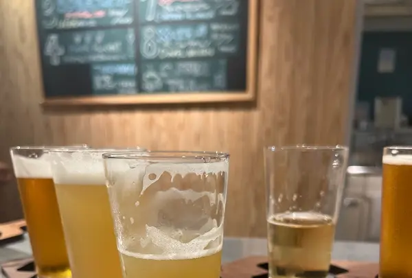 VATTEN BREWING[バッテンブリューイング]熊本阿蘇本店の写真・動画_image_764672