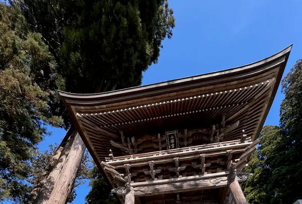 小国両神社の写真・動画_image_764765