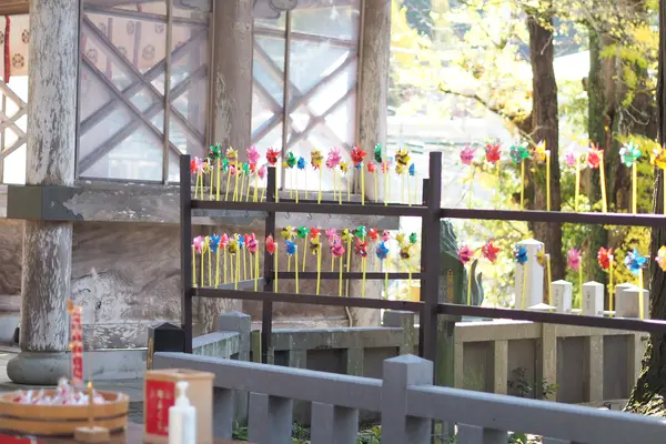 小国両神社の写真・動画_image_764774
