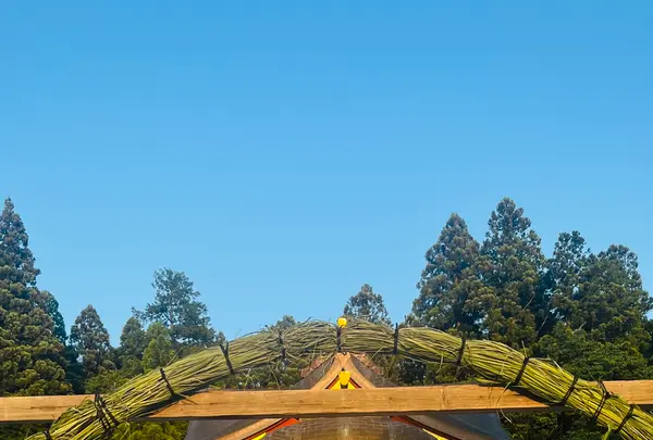 盛岡八幡宮の写真・動画_image_765032