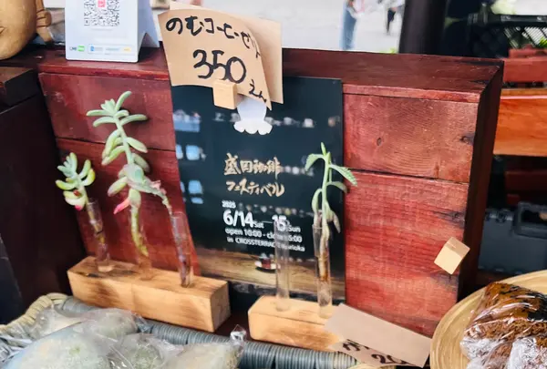 神子田朝市の写真・動画_image_765038