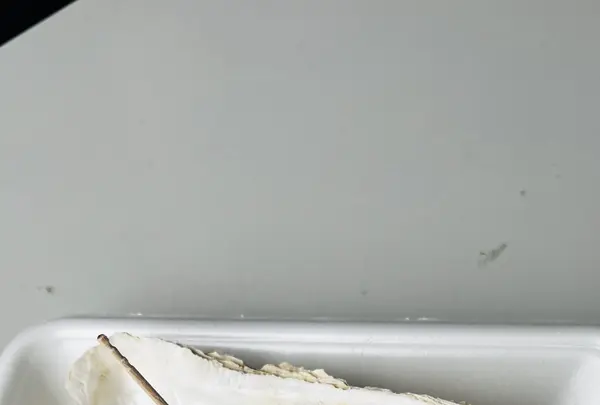 神子田朝市の写真・動画_image_765040