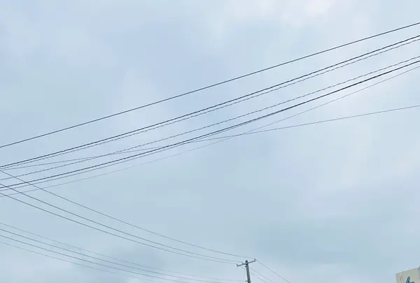 鬼越蒼前神社の写真・動画_image_765045