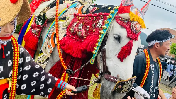 鬼越蒼前神社の写真・動画_image_765048