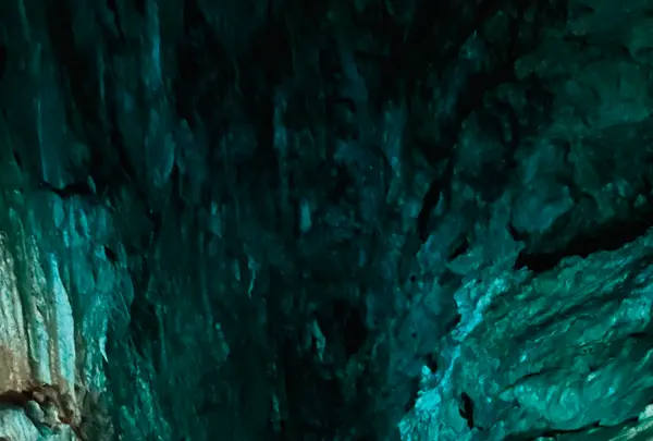 龍泉洞の写真・動画_image_765055