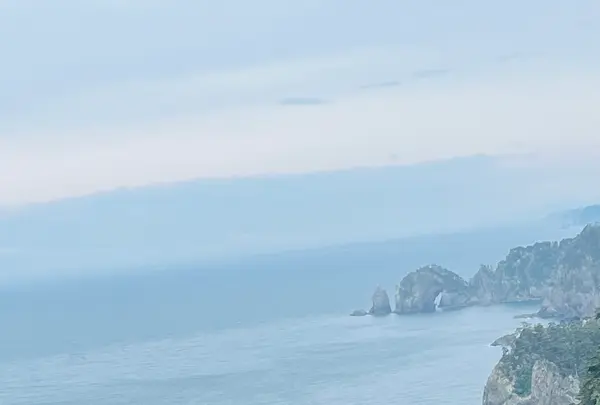 北山崎の写真・動画_image_765057