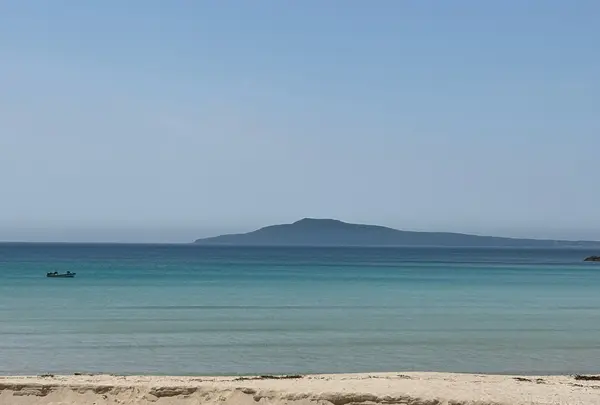 高浜海水浴場の写真・動画_image_765511