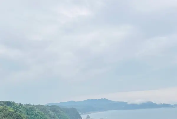 鵜の巣断崖の写真・動画_image_767261