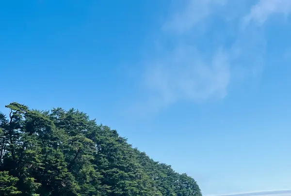 青の洞窟の写真・動画_image_767271