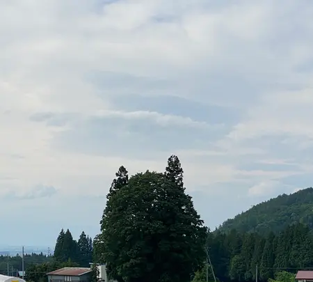 トトロの森の写真・動画_image_768134