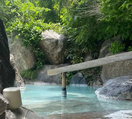 姥湯温泉 桝形屋の写真・動画_image_768137