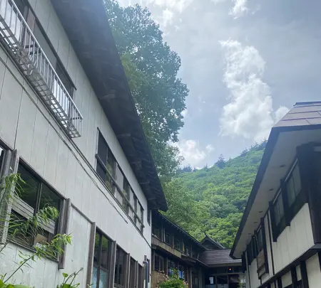 滑川温泉 福島屋の写真・動画_image_768143