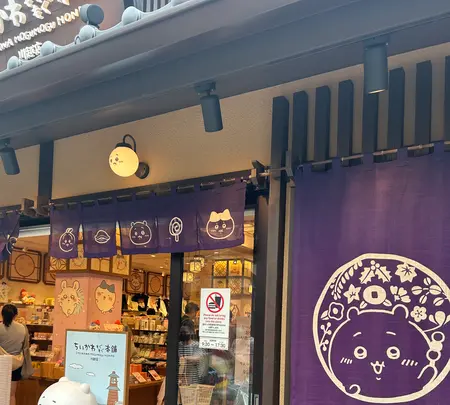 小江戸川越一番街商店街 蔵造りの町並みの写真・動画_image_768877