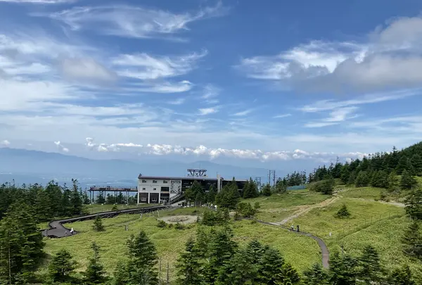 坪庭の写真・動画_image_769286