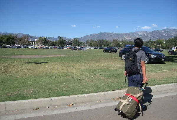 ローズボウルの写真・動画_image_769398