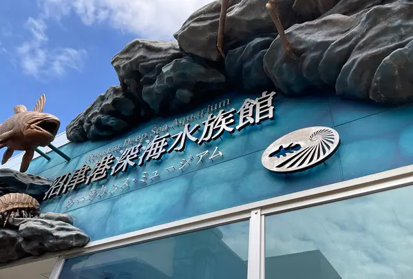 沼津港深海水族館の写真・動画_image_769796