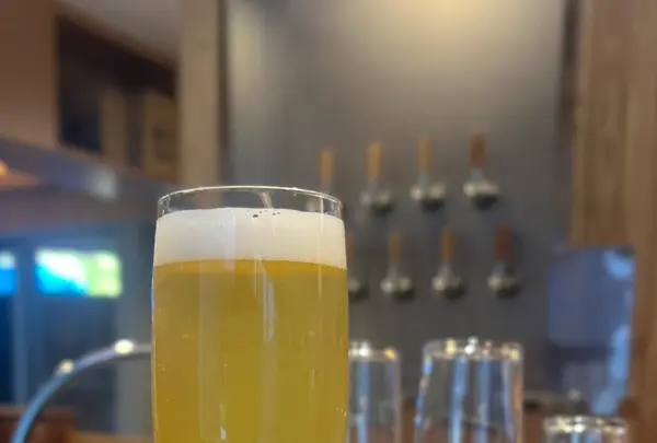 VATTEN BREWING[バッテンブリューイング]熊本阿蘇本店の写真・動画_image_770234