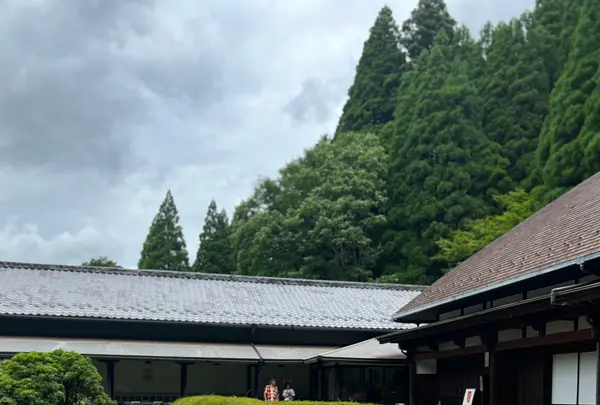 坂本善三美術館の写真・動画_image_770236