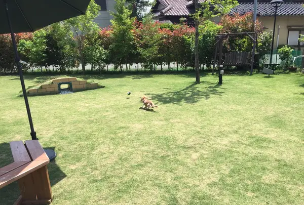 よく遊んでたな