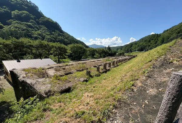 旧太子駅の写真・動画_image_772418