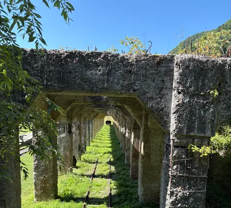 旧太子駅の写真・動画_image_772419