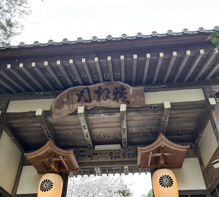 油山寺の写真・動画_image_773306