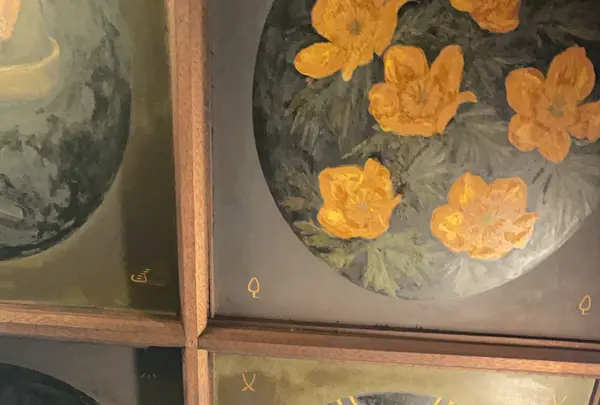 エーデルワイスの写真・動画_image_773665