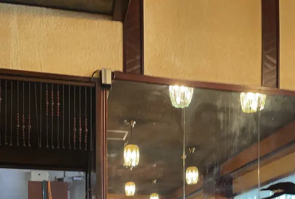 ボンボンの写真・動画_image_773669