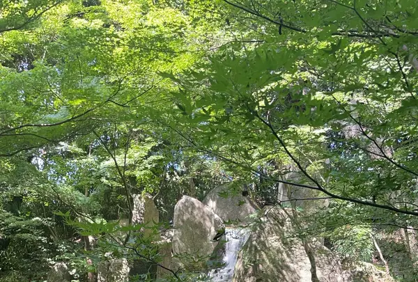 徳川園の写真・動画_image_773754